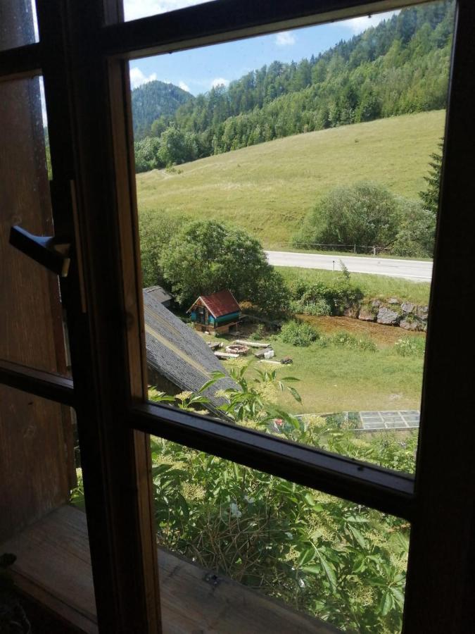 Apartment Nazbauerhof Rohr im Gebirge エクステリア 写真