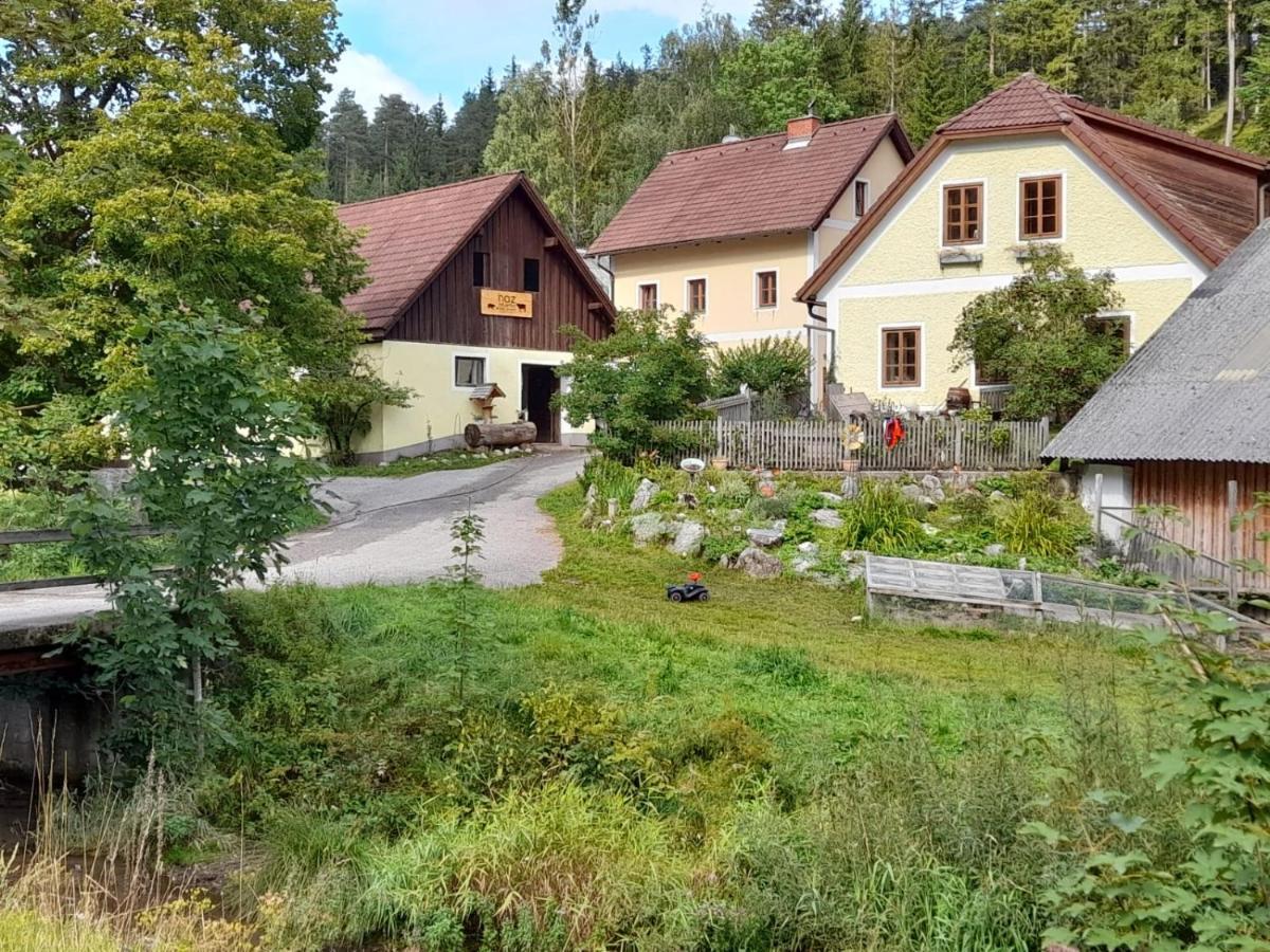Apartment Nazbauerhof Rohr im Gebirge エクステリア 写真
